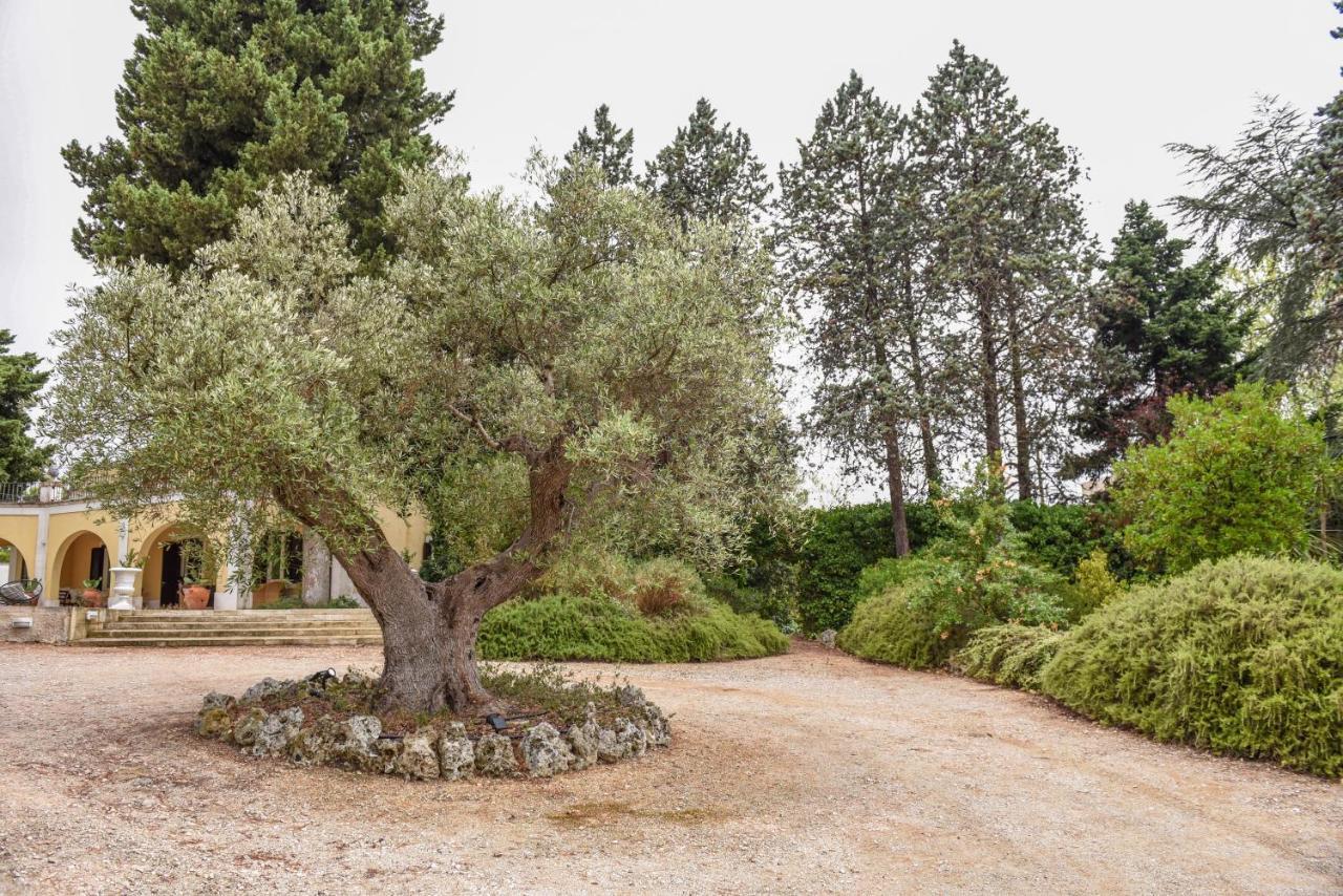 Villa Luciana Martina Franca Exterior photo
